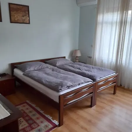 Mirjana באניה לוקה