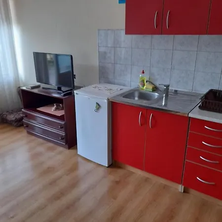 Mirjana באניה לוקה