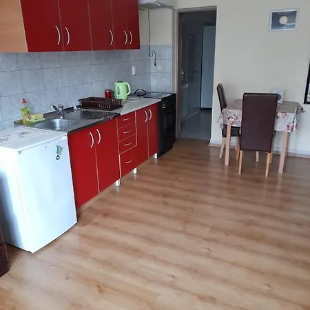 Mirjana Апартаменты *