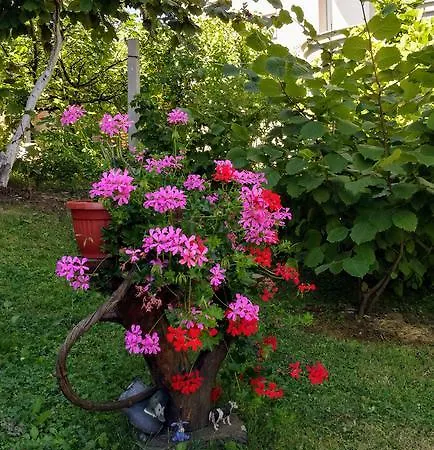 Mirjana דירה באניה לוקה